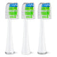 WATERPIK STW-03 dantų šepetėlio antgaliai, 3 vnt