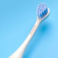 CURAPROX HYDROSONIC šepetėlio galvutė SENSITIVE, 2 vnt.